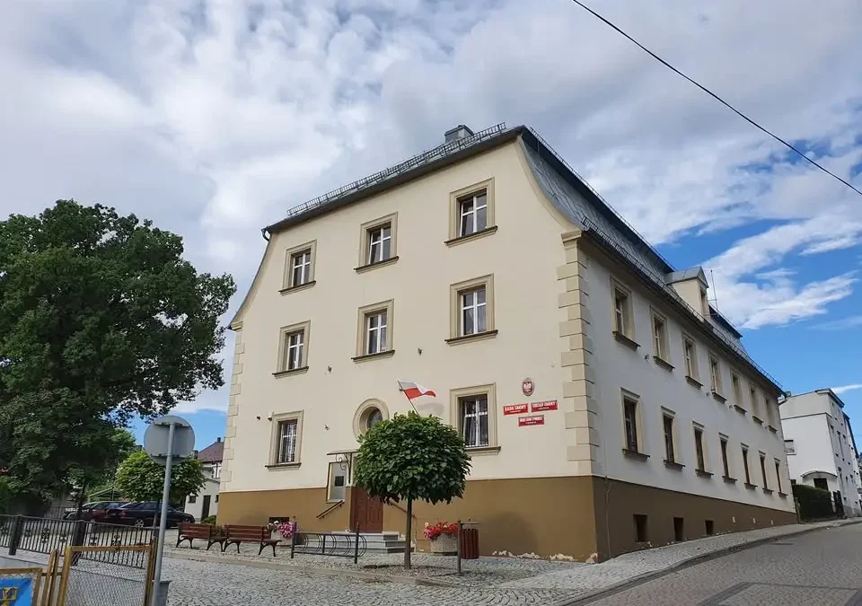 Szukamy domu dla rocznej suni – OTOZ Animals Kędzierzyn-Koźle