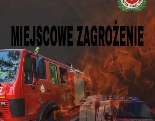 Gałąź na drodze DW408 w Korzonku – interwencja strażaków