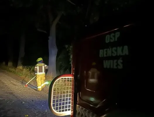 Powalone gałęzie na drodze w Bytkowie-Urbanowicach. Interweniowali strażacy z OSP Reńska Wieś