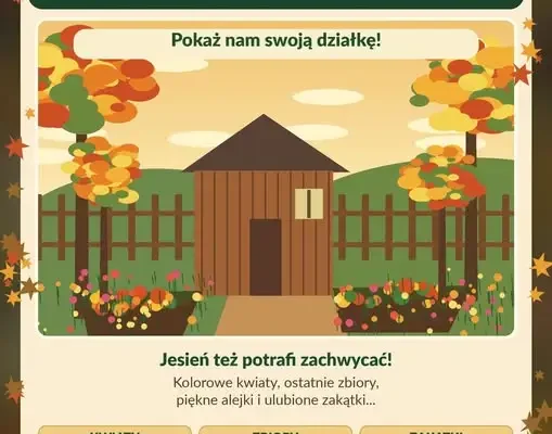 Jesień w ROD „Przyjaźń” – działkowcy pokazują swoje ogrody