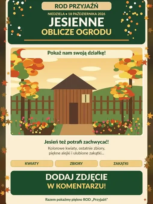Jesień w ROD „Przyjaźń” – działkowcy pokazują swoje ogrody