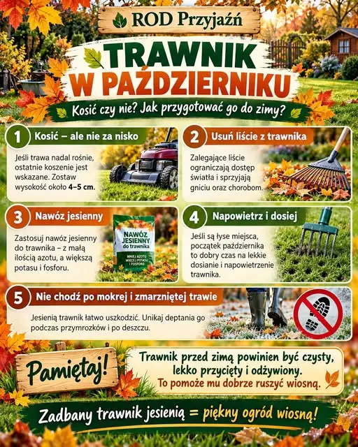 Trawnik w październiku – kosić czy nie? 5 wskazówek na koniec sezonu