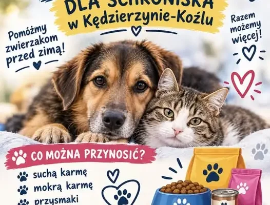 Szkoła w Kędzierzynie-Koźlu organizuje zbiórkę karmy dla schroniska