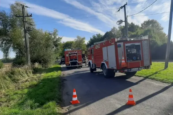 Pożar samochodu w Dębowej. Interweniowali strażacy z OSP Renska Wieś